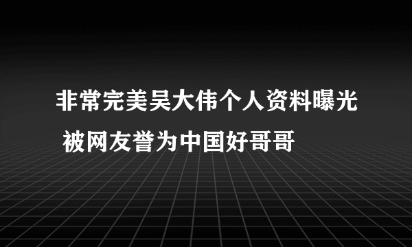 非常完美吴大伟个人资料曝光 被网友誉为中国好哥哥