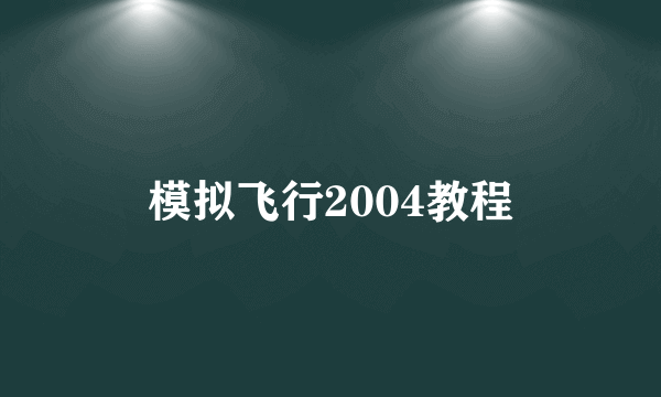 模拟飞行2004教程