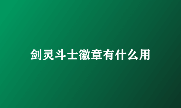 剑灵斗士徽章有什么用