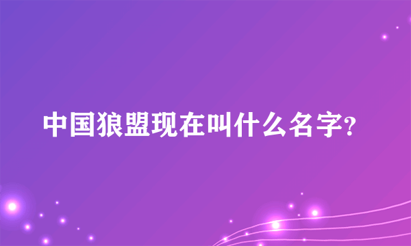 中国狼盟现在叫什么名字？