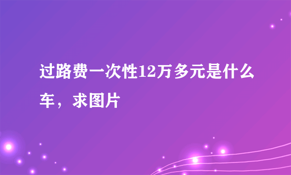 过路费一次性12万多元是什么车，求图片