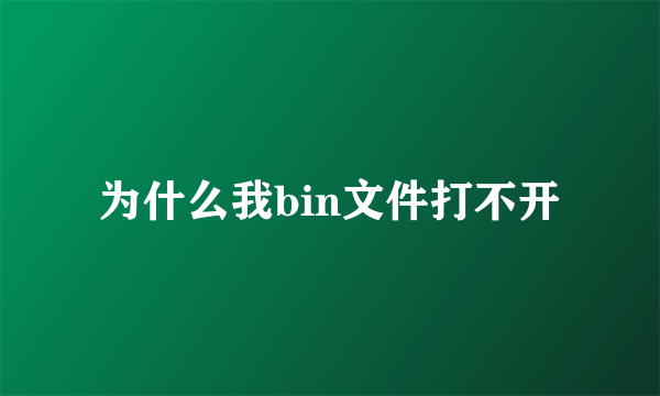 为什么我bin文件打不开