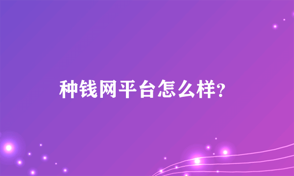 种钱网平台怎么样？