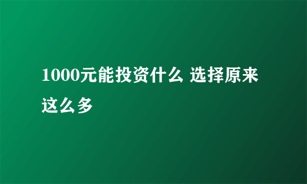 1000元能投资什么 选择原来这么多