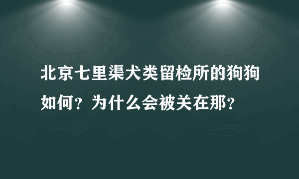 北京七里渠犬类留检所的狗狗如何？为什么会被关在那？