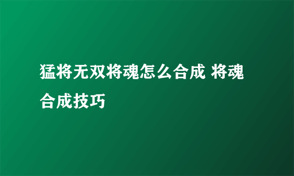 猛将无双将魂怎么合成 将魂合成技巧