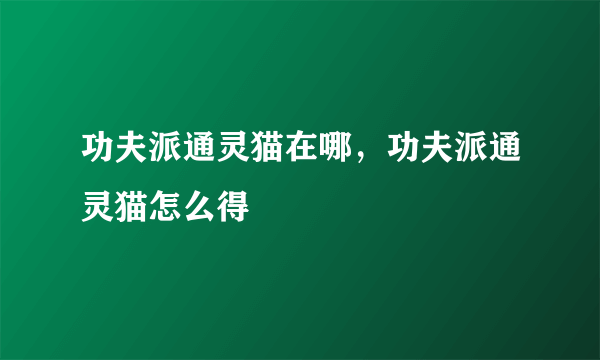 功夫派通灵猫在哪，功夫派通灵猫怎么得