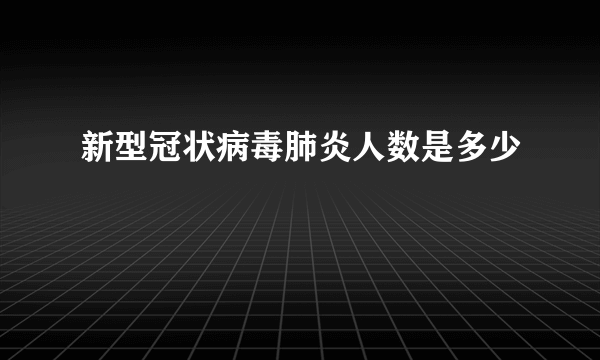 新型冠状病毒肺炎人数是多少