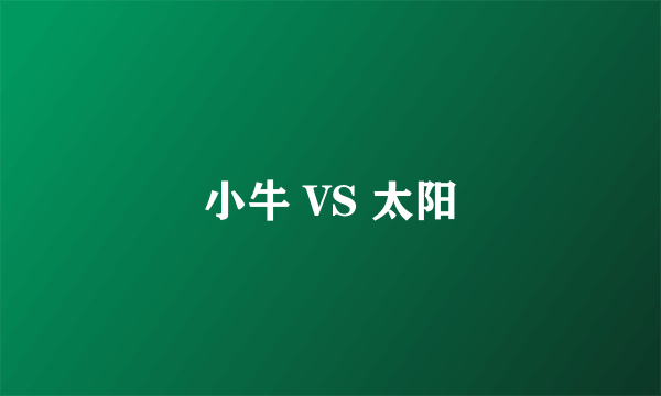 小牛 VS 太阳