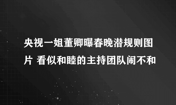 央视一姐董卿曝春晚潜规则图片 看似和睦的主持团队闹不和