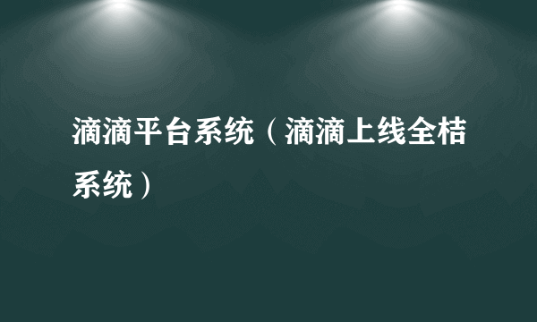 滴滴平台系统（滴滴上线全桔系统）