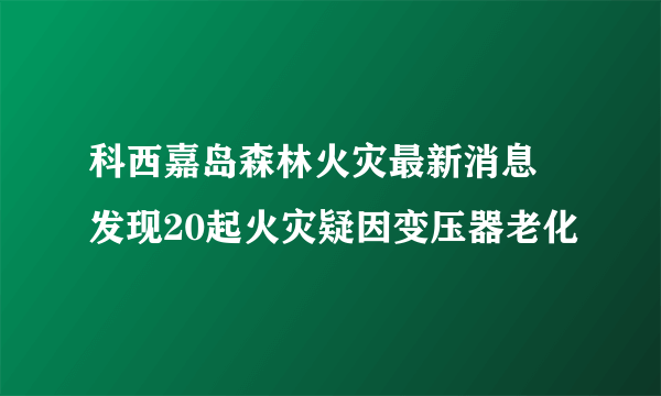 科西嘉岛森林火灾最新消息 发现20起火灾疑因变压器老化