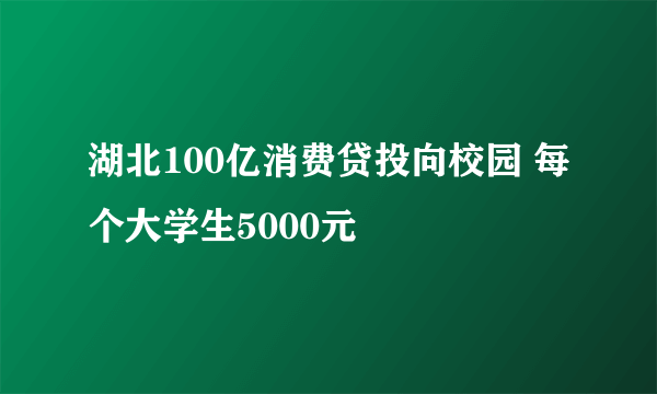 湖北100亿消费贷投向校园 每个大学生5000元