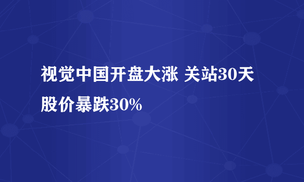 视觉中国开盘大涨 关站30天股价暴跌30%