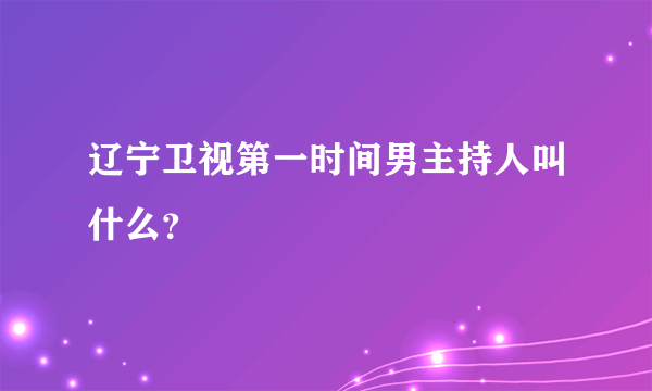 辽宁卫视第一时间男主持人叫什么？