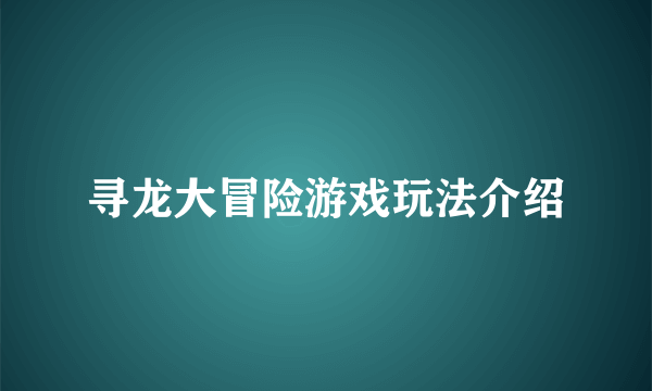 寻龙大冒险游戏玩法介绍