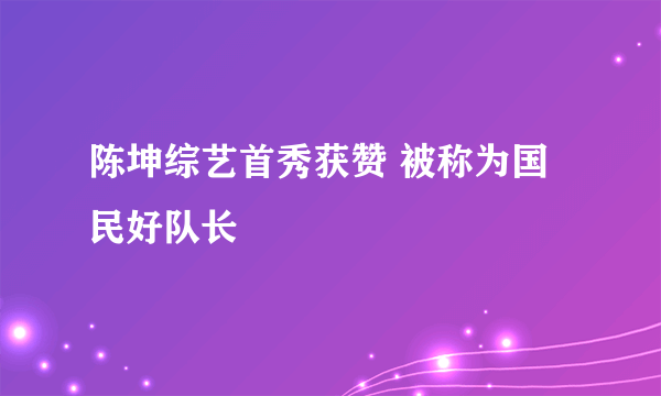 陈坤综艺首秀获赞 被称为国民好队长