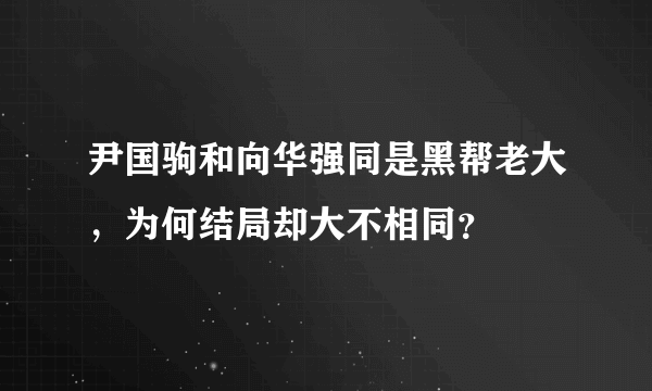 尹国驹和向华强同是黑帮老大，为何结局却大不相同？