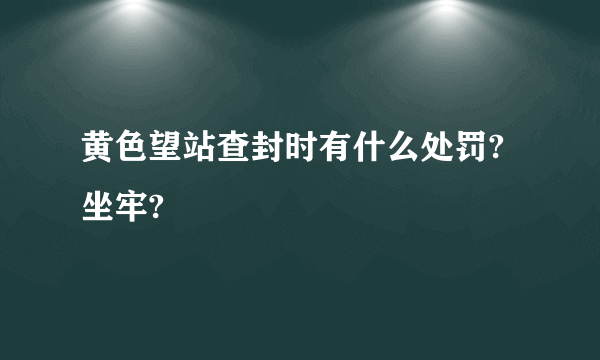 黄色望站查封时有什么处罚?坐牢?