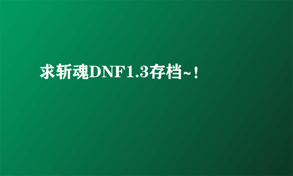 求斩魂DNF1.3存档~！