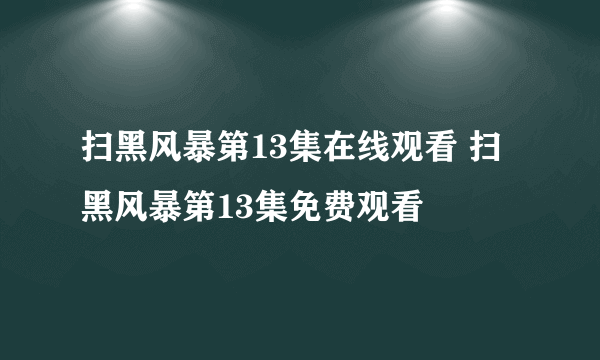 扫黑风暴第13集在线观看 扫黑风暴第13集免费观看