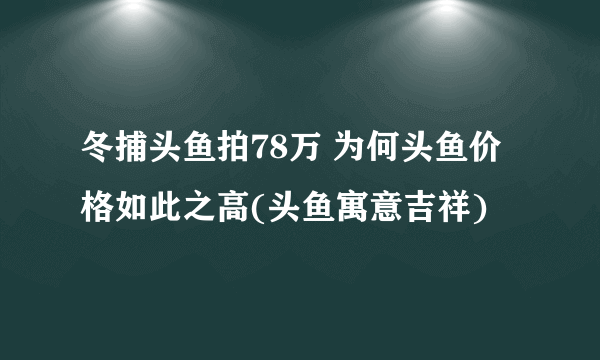 冬捕头鱼拍78万 为何头鱼价格如此之高(头鱼寓意吉祥)