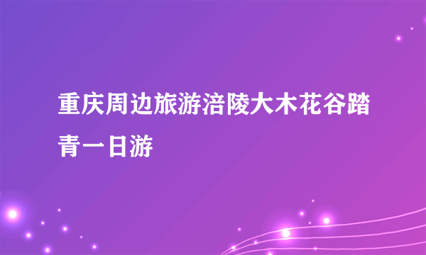 重庆周边旅游涪陵大木花谷踏青一日游