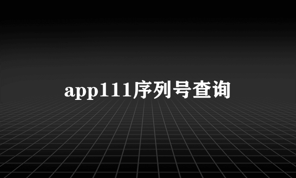 app111序列号查询