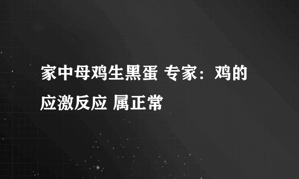 家中母鸡生黑蛋 专家：鸡的应激反应 属正常