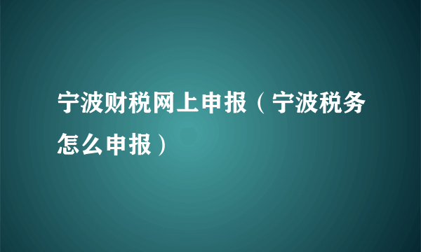 宁波财税网上申报（宁波税务怎么申报）