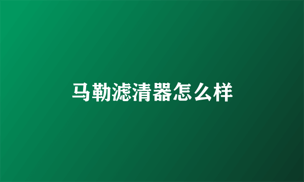 马勒滤清器怎么样