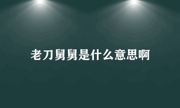 老刀舅舅是什么意思啊