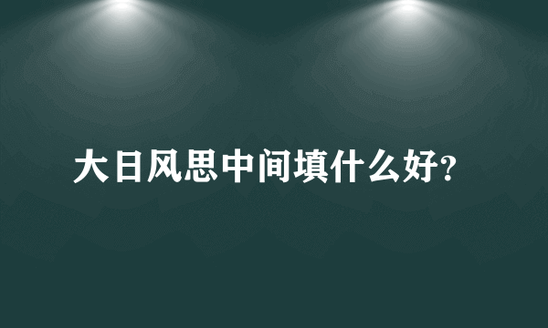 大日风思中间填什么好？