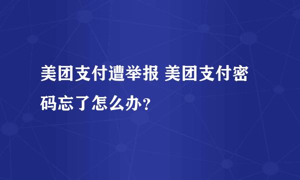 美团支付遭举报 美团支付密码忘了怎么办？