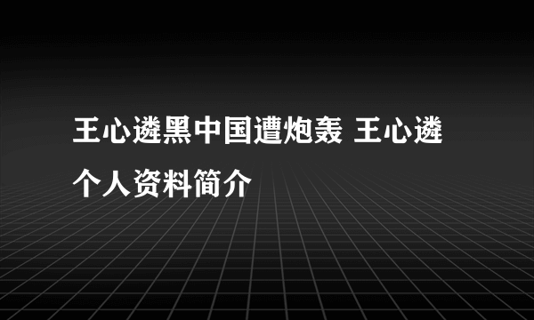 王心遴黑中国遭炮轰 王心遴个人资料简介