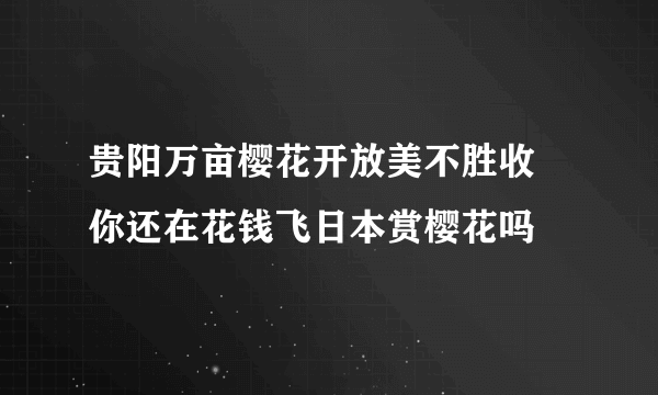 贵阳万亩樱花开放美不胜收 你还在花钱飞日本赏樱花吗