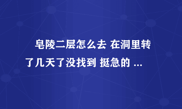 砮皂陵二层怎么去 在洞里转了几天了没找到 挺急的 想打老友项链那个boss