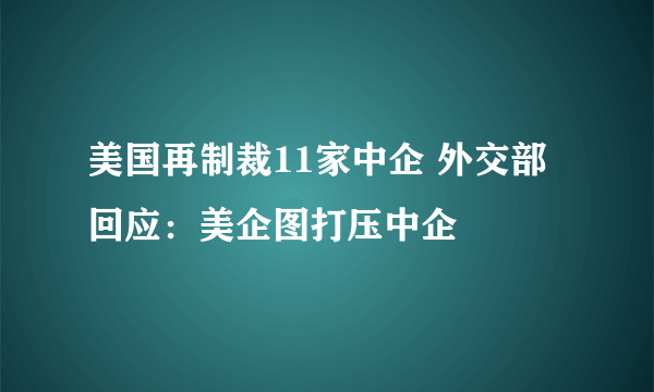 美国再制裁11家中企 外交部回应：美企图打压中企