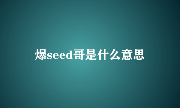 爆seed哥是什么意思