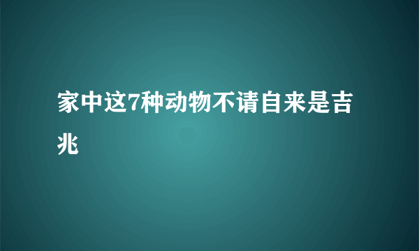 家中这7种动物不请自来是吉兆