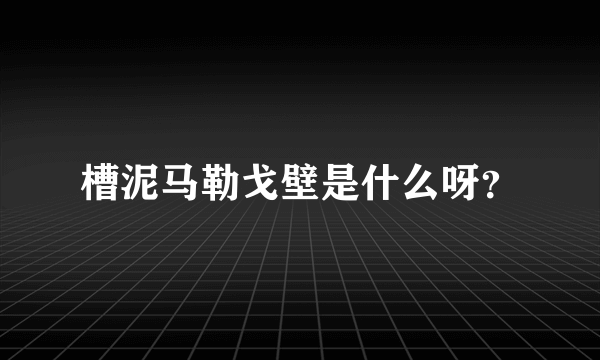 槽泥马勒戈壁是什么呀？