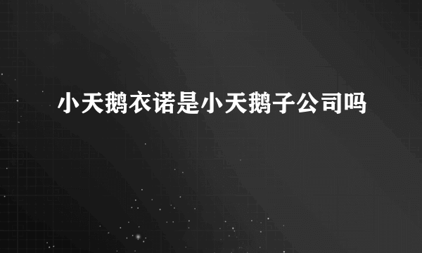 小天鹅衣诺是小天鹅子公司吗