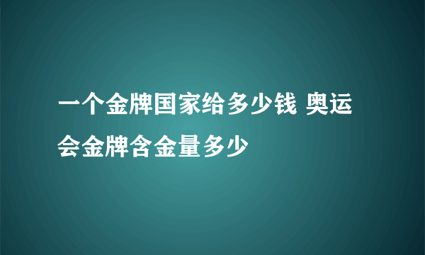 一个金牌国家给多少钱 奥运会金牌含金量多少