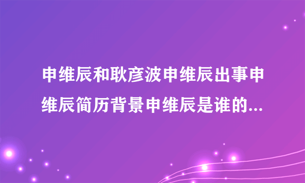 申维辰和耿彦波申维辰出事申维辰简历背景申维辰是谁的秘书申维辰