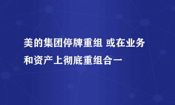 美的集团停牌重组 或在业务和资产上彻底重组合一