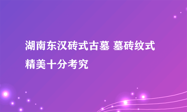 湖南东汉砖式古墓 墓砖纹式精美十分考究