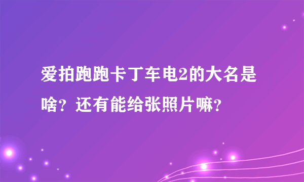 爱拍跑跑卡丁车电2的大名是啥？还有能给张照片嘛？