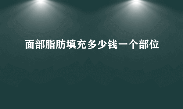 面部脂肪填充多少钱一个部位