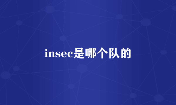 insec是哪个队的