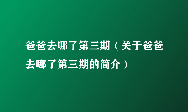 爸爸去哪了第三期（关于爸爸去哪了第三期的简介）